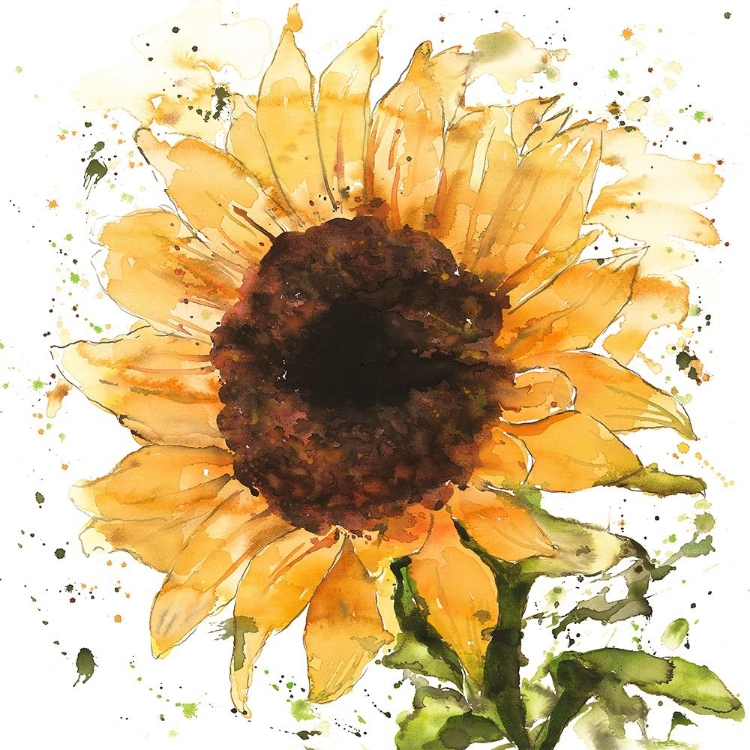 Picture of BIG SUNFLOWER