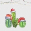 Picture of CHRISTMAS CACTUS