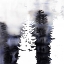 Picture of SILHOUETTES OF TREES
