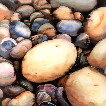 Picture of BEACH PEBBLES