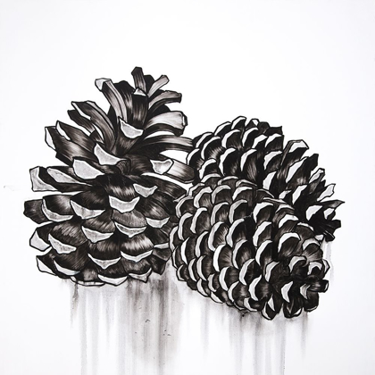 Picture of THREE SMALL PINE CONES