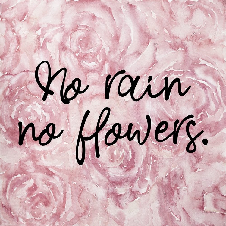 Picture of NO RAIN NO FLOWERS