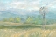 Picture of COUNTRY MEADOW WINDMILL LANDSCAPE