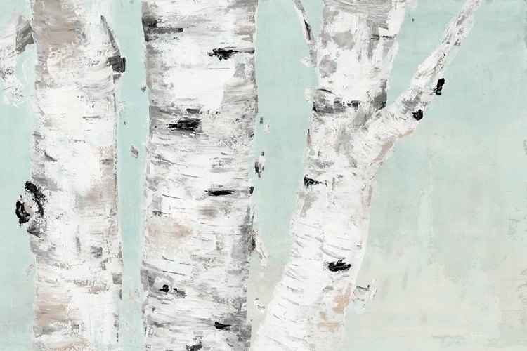 Picture of BIRCH TREE CLOSE UP
