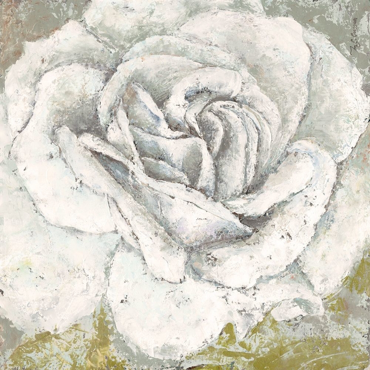 Picture of WHITE ROSE BLOSSOM SQUARE