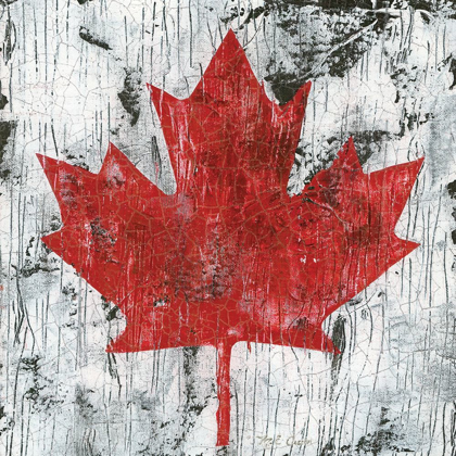 Picture of CANADA MAPLE LEAF I