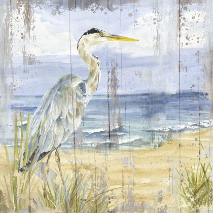 Picture of BIRDS OF THE COAST RUSTIC I