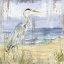 Picture of BIRDS OF THE COAST RUSTIC I