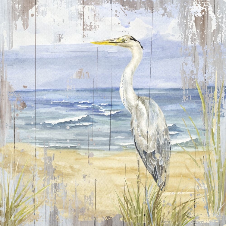 Picture of BIRDS OF THE COAST RUSTIC II