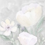 Picture of PEACEFUL REPOSE FLORAL ON GRAY II