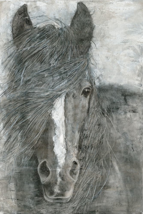 Picture of HORSE IN THE WIND