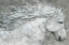 Picture of WILD HORSE