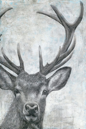 Picture of PORTRAIT OF A DEER