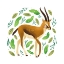 Picture of SAFARI CUTIES GAZELLE