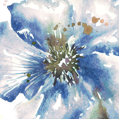 Picture of BLUE WATERCOLOR POPPY CLOSE UP II