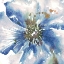 Picture of BLUE WATERCOLOR POPPY CLOSE UP II