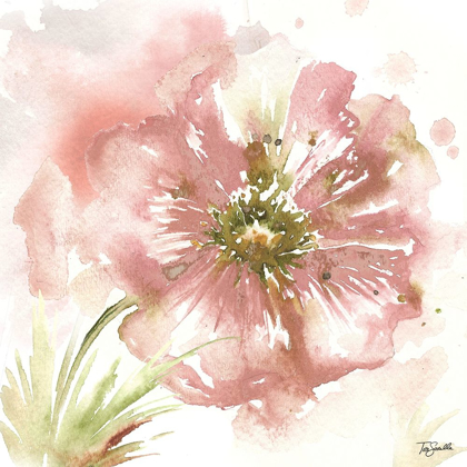 Picture of BLUSH WATERCOLOR POPPY I