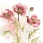 Picture of BLUSH WATERCOLOR POPPY III