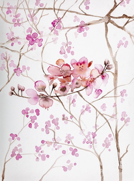 Picture of CHERRY BLOSSOMS