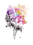 Picture of COLORFUL BOUQUET