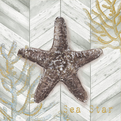 Picture of GRAY GOLD CHEVRON STAR FISH