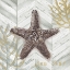 Picture of GRAY GOLD CHEVRON STAR FISH