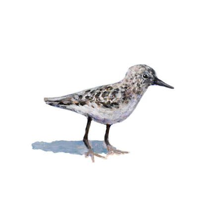 Picture of SANDPIPER ON WHITE I