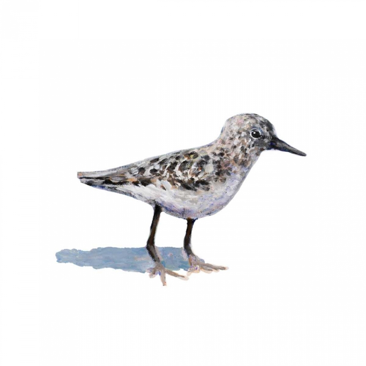 Picture of SANDPIPER ON WHITE I