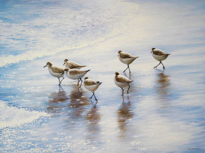 Picture of SAND DANCERS