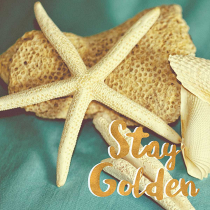 Picture of STAY GOLDEN