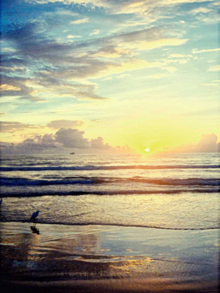 Picture of BEACH COASTAL