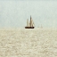 Picture of SAIL BOATS I