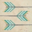 Picture of FEATHER ARROWS