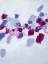 Picture of AMOEBIC FLOW I