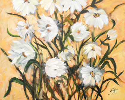 Picture of WILD DAISIES