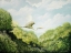 Picture of EGRET