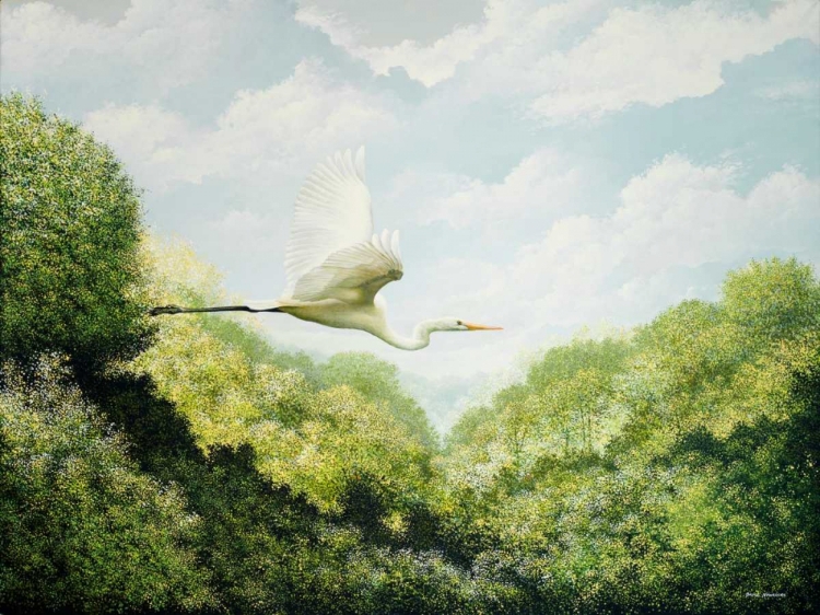 Picture of EGRET