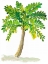 Picture of PALM DAYS IV