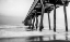 Picture of UNDER THE PIER
