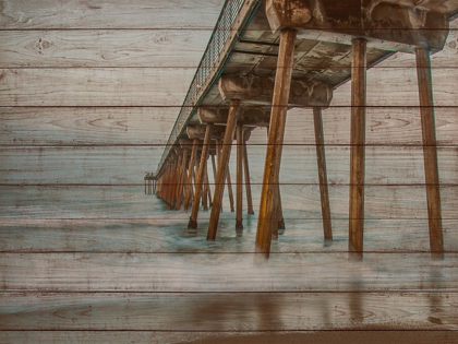 Picture of PIER ON WOOD I