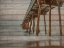 Picture of PIER ON WOOD I
