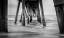 Picture of SURF IN BLACK AND WHITE