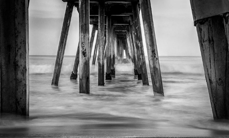 Picture of SURF IN BLACK AND WHITE