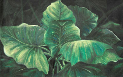 Picture of TROPICAL ESMERALDA LEAVES