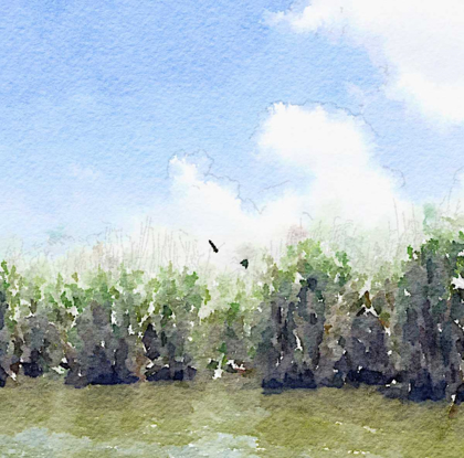 Picture of WATERCOLOR BLACK HAMMOCK LAKE