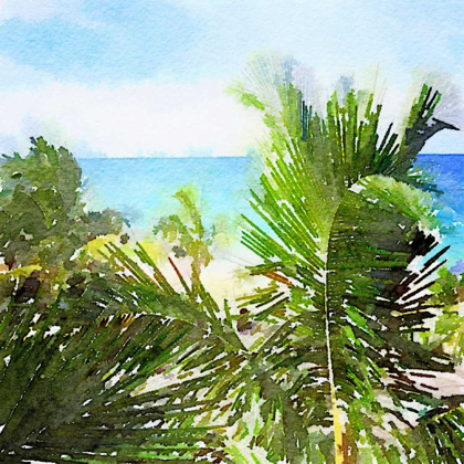 Picture of WATERCOLOR VERO BEACH