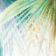 Picture of PALMERS PASTEL I