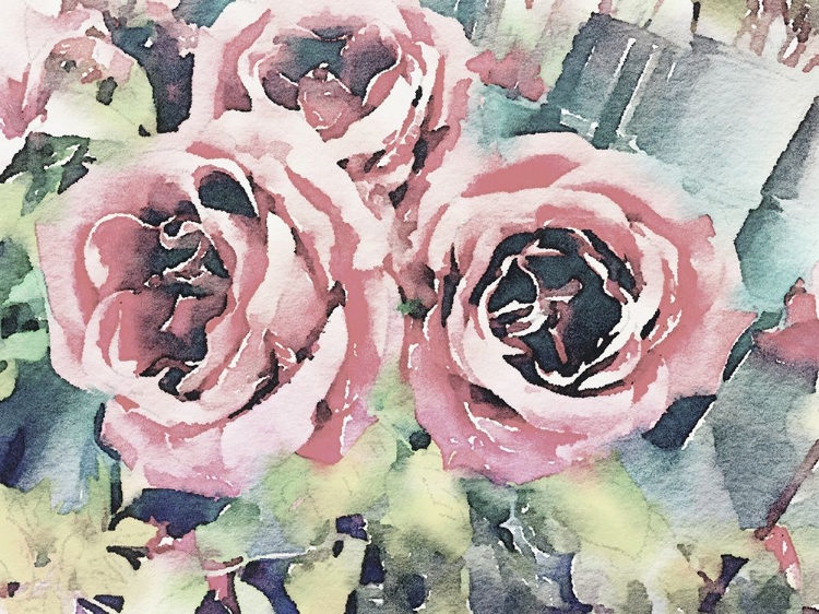 Picture of VINTAGE ROSES