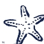 Picture of COASTAL NAVY ON WHITE II