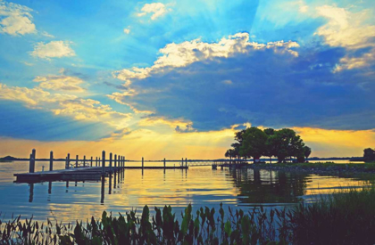 Picture of LAKE DORA SUNSET